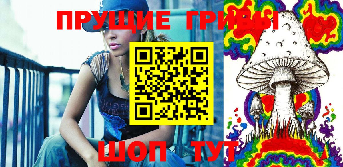 Псилоцибиновые грибы GOLDEN TEACHER Новодвинск