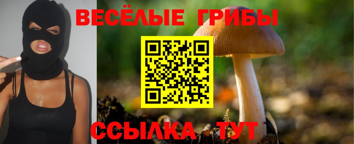 Галлюциногенные грибы Psilocybe  Вход с VPN  Новодвинск 